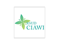 rsud ciawi